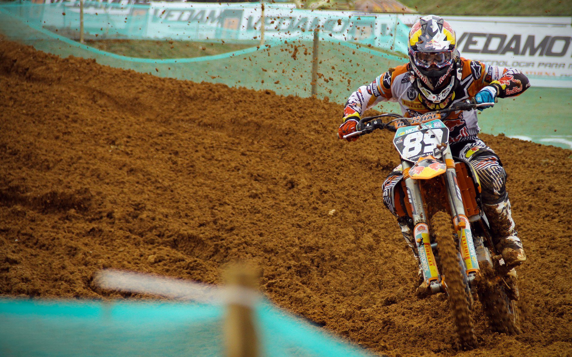 2026年亚洲综合武术争霸赛 中国散打队保持金牌优势